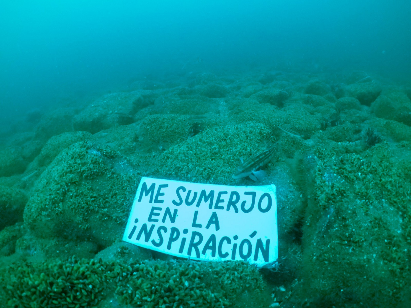 carteles dia mundial de los océanos