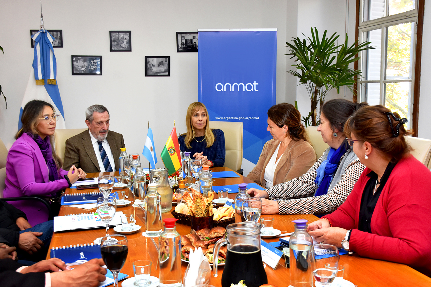 Mesa de trabajo en el encuentro entre ANMAT y autoridades de los ministerios de salud de Argentina y Bolivia.