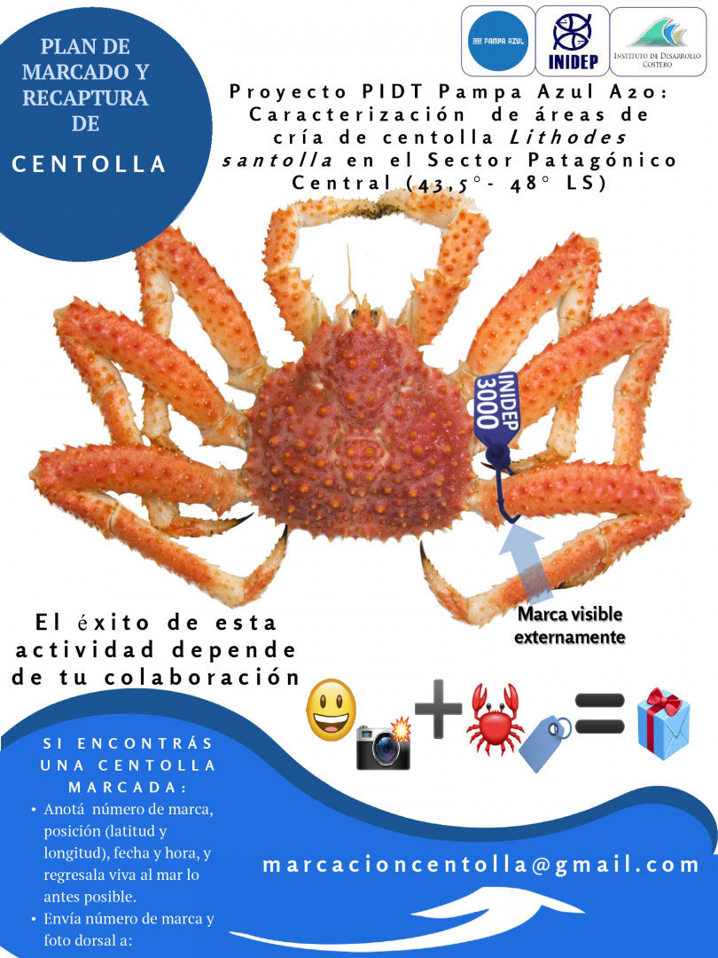 afiche marcacion mayo 2023