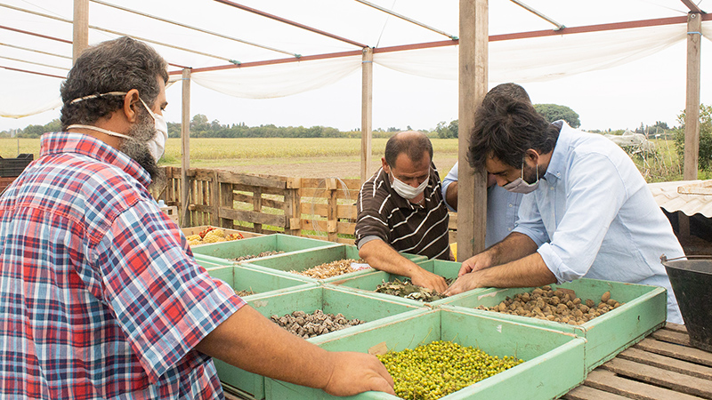 Visita a vivero El Yuyito