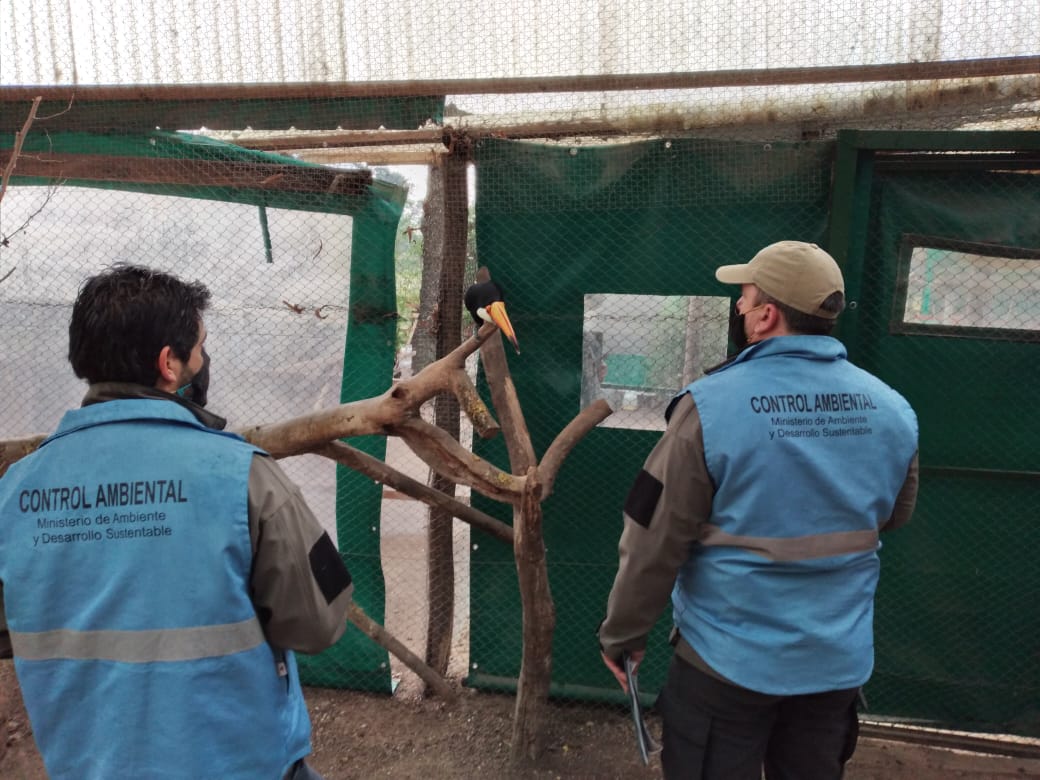 Ambiente decidió que el zoológico de Luján se mantendrá cerrado