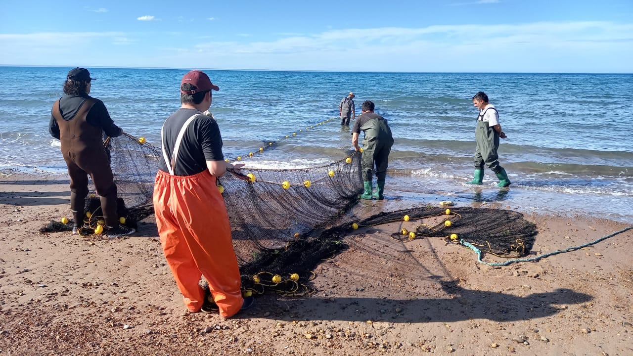 artes de pesca noviembre 2022