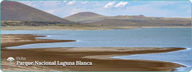 Encabezado ficha PN Laguna Blanca