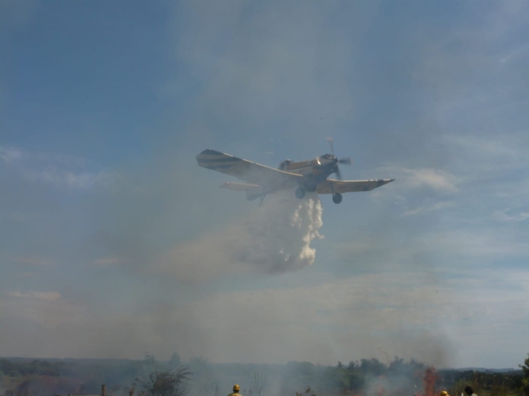 Incendios forestales