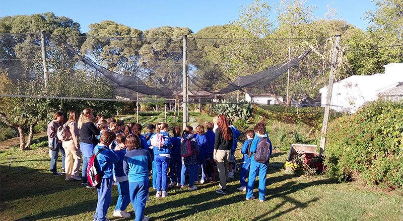 La huerta agroecológica recibió gran cantidad de visitas en INTA Mendoza Puertas Abiertas