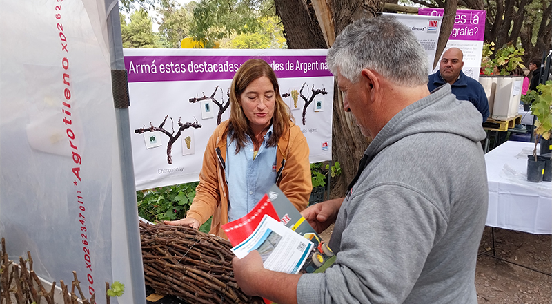 Investigadora de INTA Mendoza explica temas de viticultura a un visitante