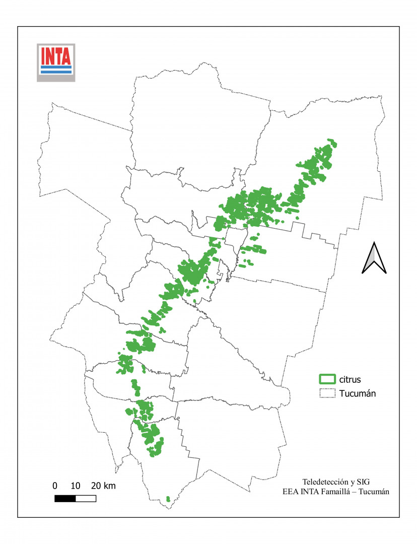 Figura 1. Distribución espacial de la superficie cultivada con cítricos en la provincia de Tucumán durante la campaña 2024.