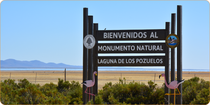 MN Laguna de los Pozuelos