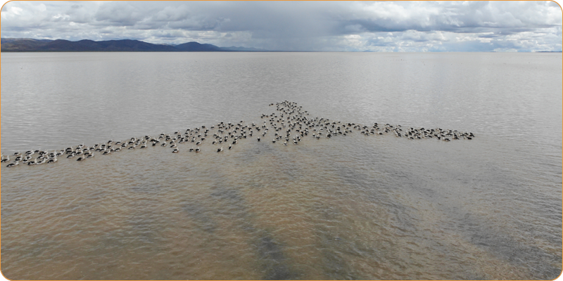 MN Laguna de los Pozuelos