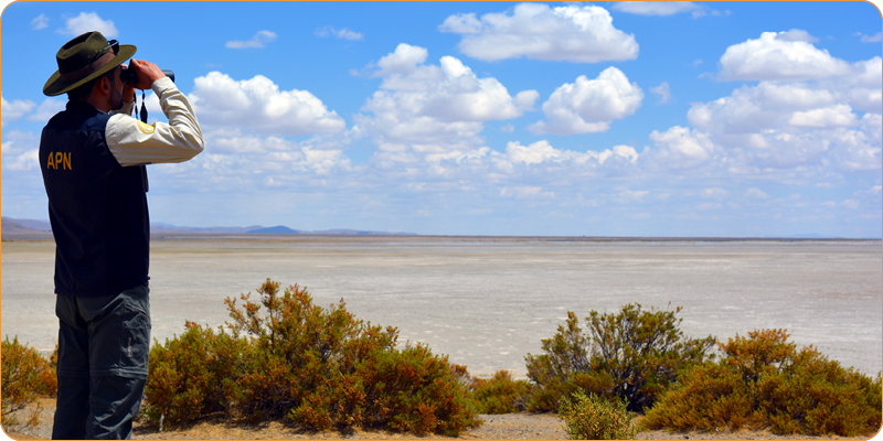 MN Laguna de los Pozuelos