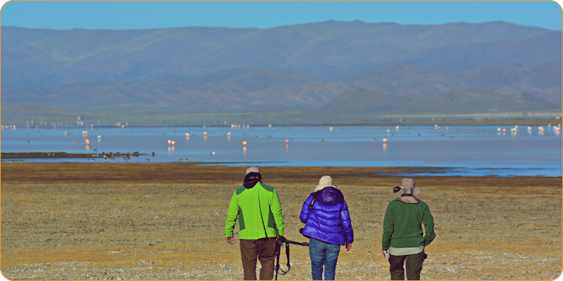 MN Laguna de los Pozuelos