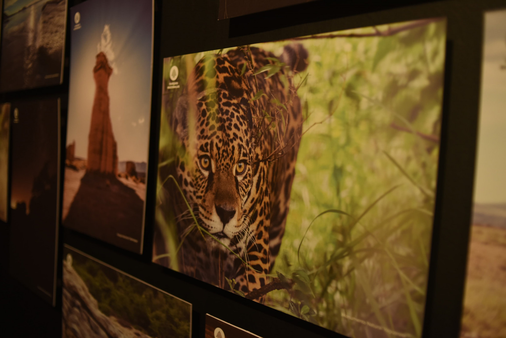 Muestra Parques Nacionales Palacio Libertad 