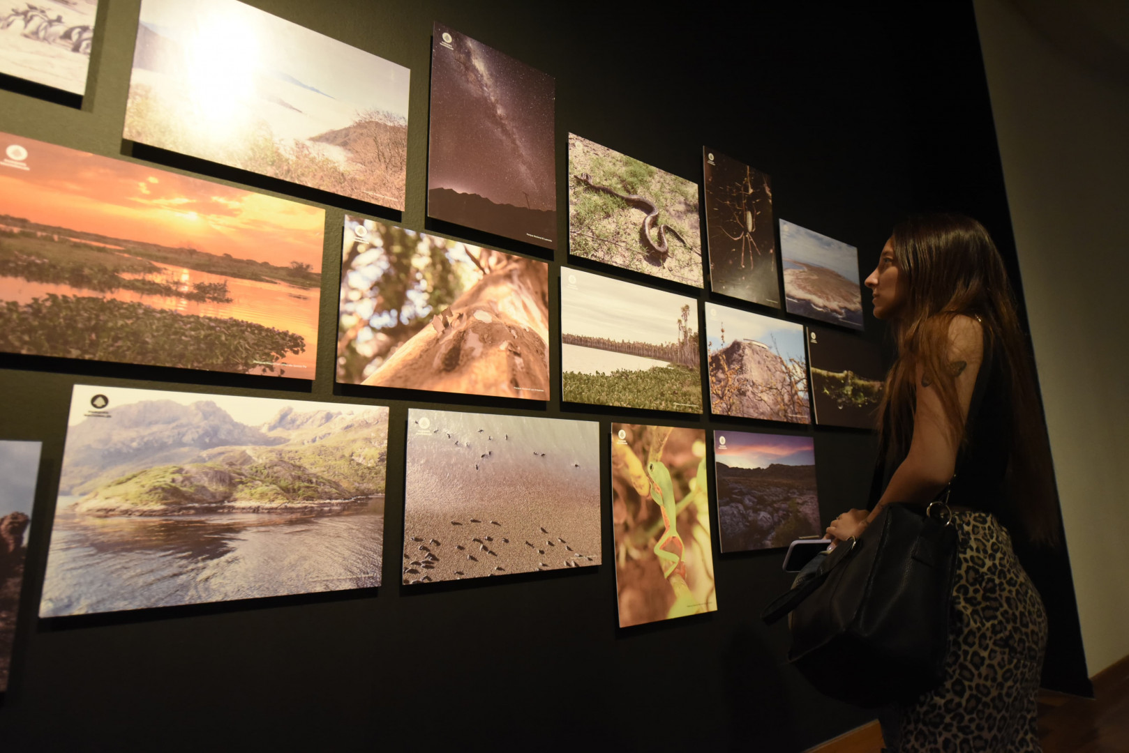 Muestra Parques Nacionales Palacio Libertad 