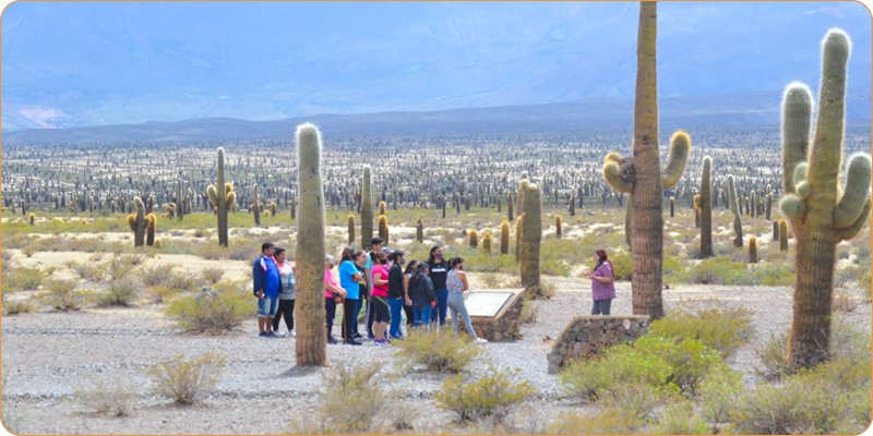 Parque Nacional Los Cardones