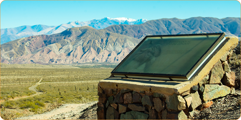 Parque Nacional Los Cardones