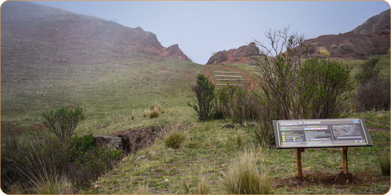 Parque Nacional Los Cardones