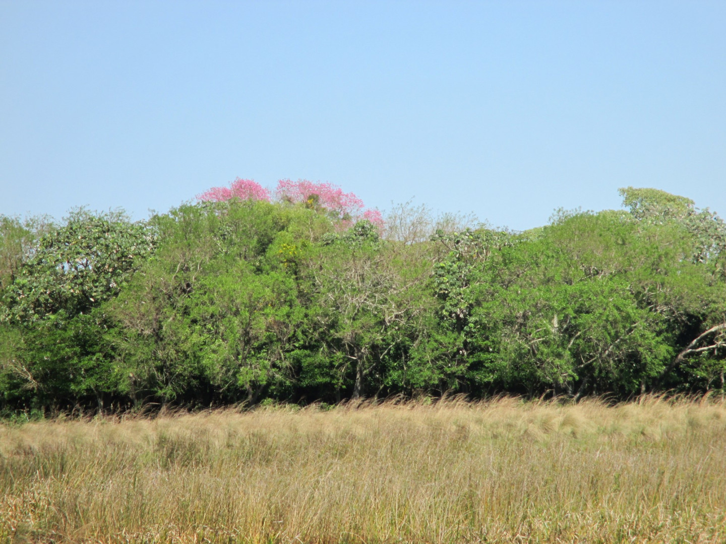 Parque Nacional Iberá