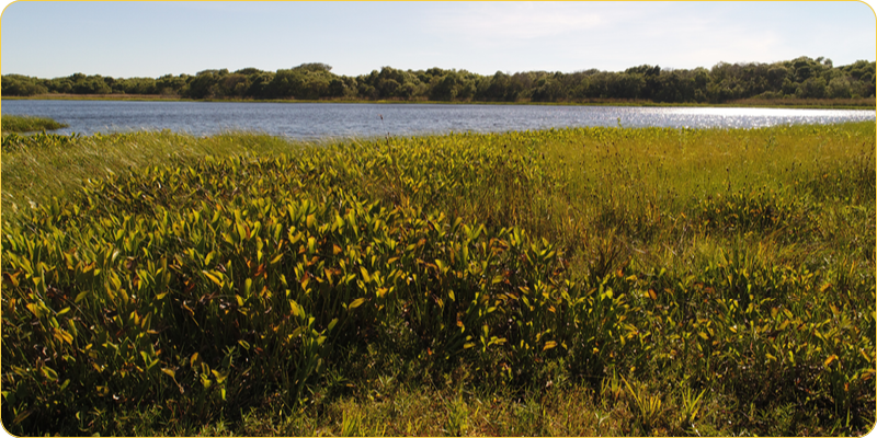 Parque Nacional Mburucuyá