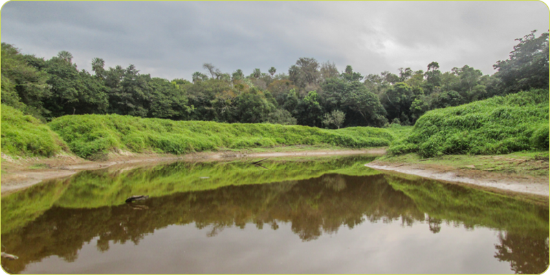 PN Río Pilcomayo