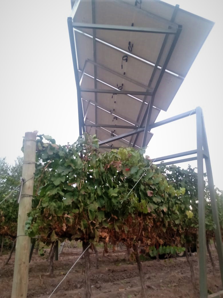 Agrivoltaísmo, prototipo en Lunlunta, Mendoza