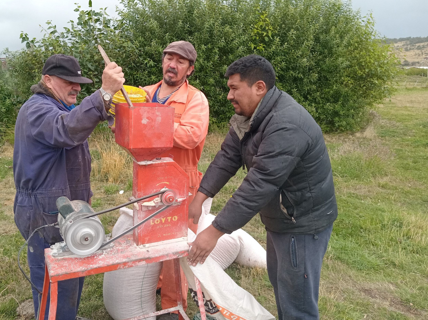 El ensayo se realizó junto a productores de la región