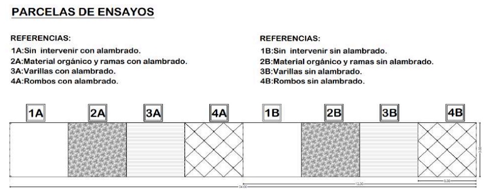 Croquis de las parcelas de ensayo