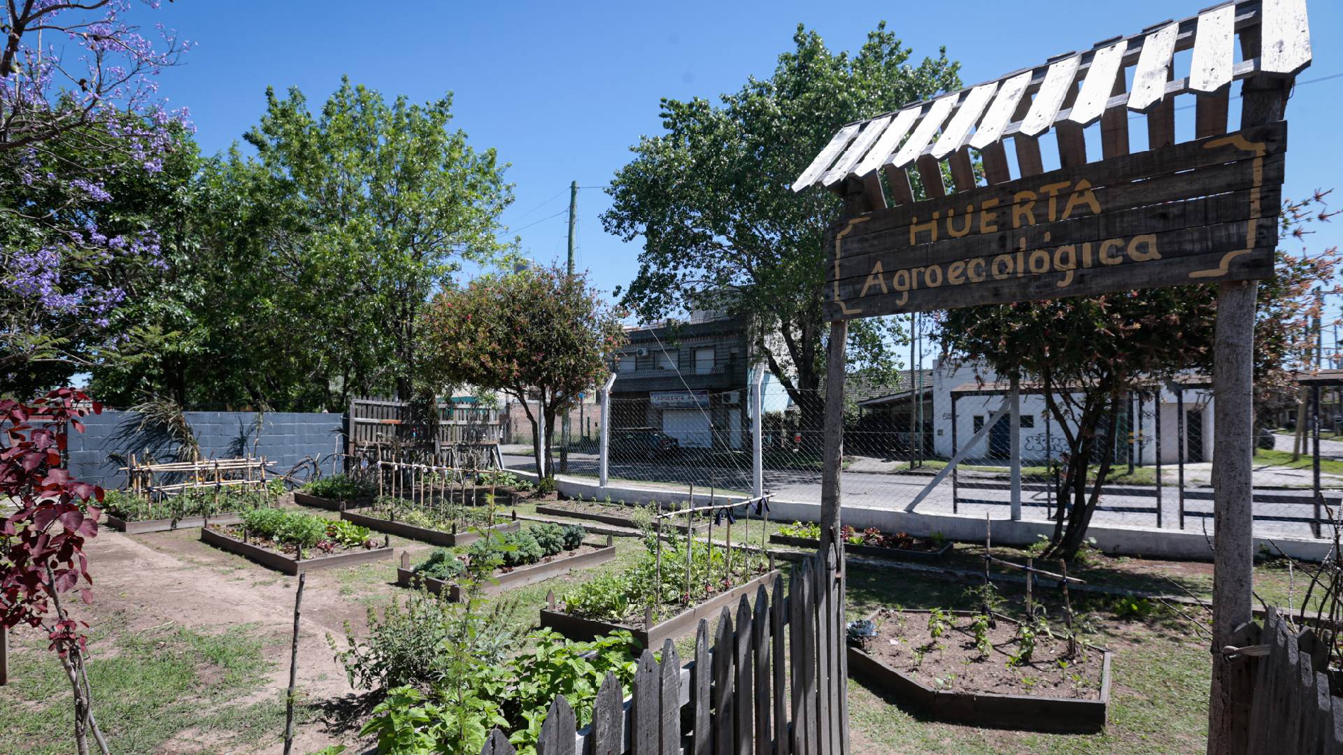 Huerta agroecológica de Lomas de Zamora.