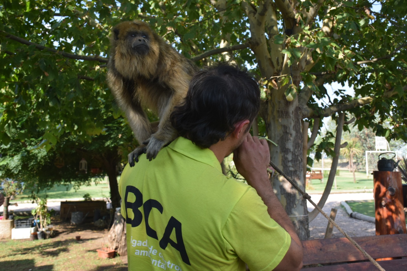 monitocarayarescue